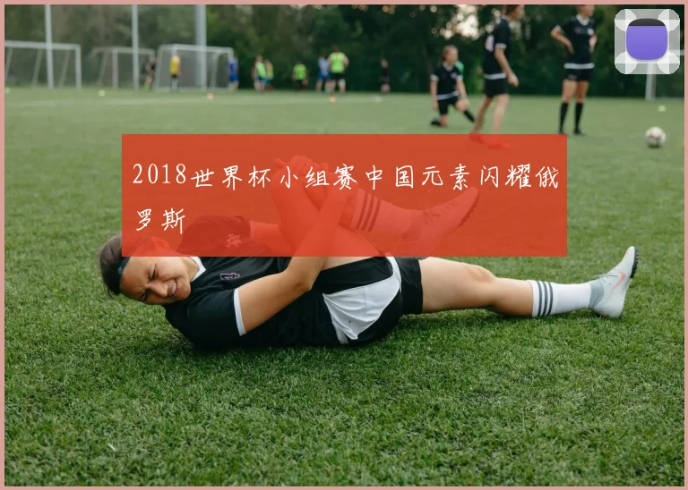 2018世界杯小组赛中国元素闪耀俄罗斯