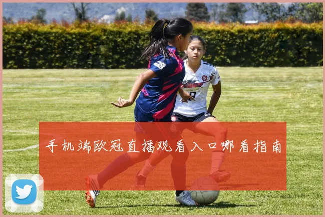 手机端欧冠直播观看入口哪看指南