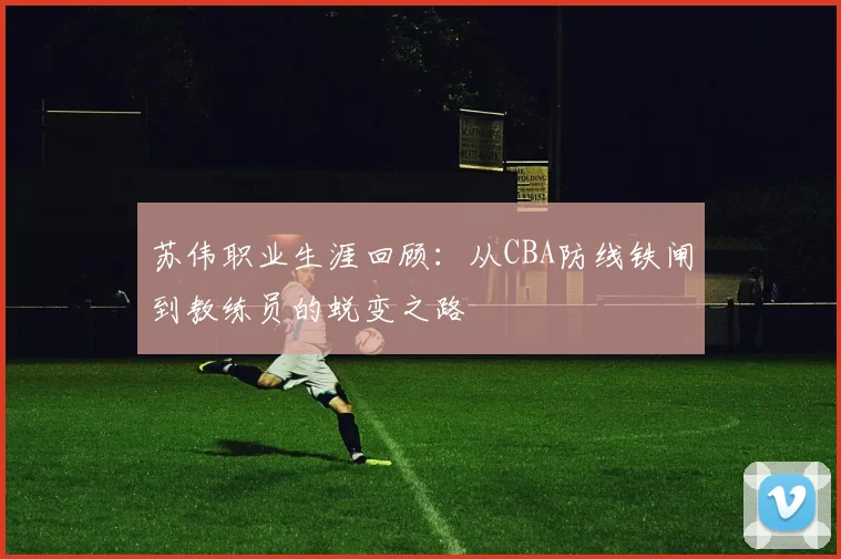 苏伟职业生涯回顾:从CBA防线铁闸到教练员的蜕变之路