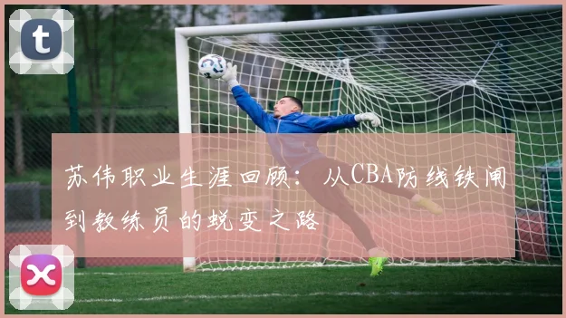 苏伟职业生涯回顾：从CBA防线铁闸到教练员的蜕变之路