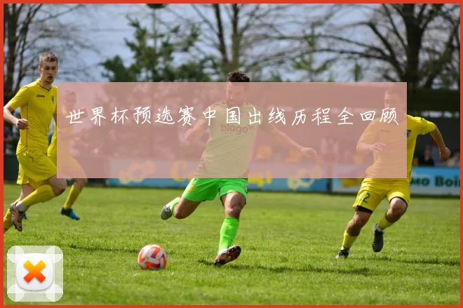 世界杯预选赛中国出线历程全回顾