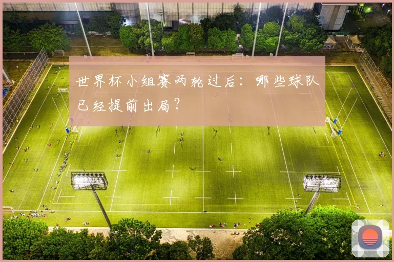 世界杯小组赛两轮过后：哪些球队已经提前出局？
